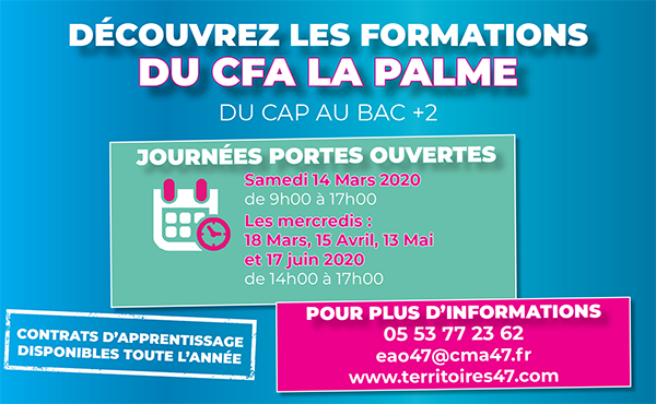 Rénovation de la Palme