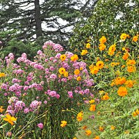 10.-villes-et-villages-fleuris-_XCG6936-OK.jpg