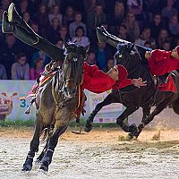 cheval-photo.jpg