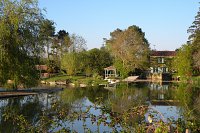02---Moulin-cocussotte--Avril-2017-038.jpg