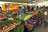 03.-agriculture----marche_02.jpg