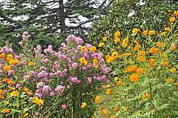 10.-villes-et-villages-fleuris-_XCG6936-OK-800px.jpg