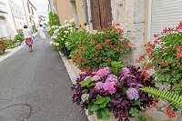 10.-villes-et-villages-fleuris-jury_XCD0537-K.jpg