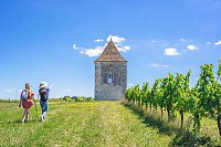18-19.-Randonnee_dans_les_vignobles_de_Saint-Astier-Agence_Les_Conteurs-4409-800px.jpg