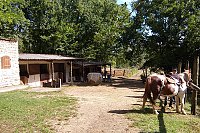 37---criniere-au-vent-20170916_112341.jpg
