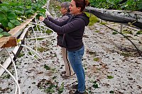 800_REUSSITE_cheminterre-de-rCussite--surmesure---20220303_1027321.jpg