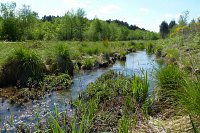 ENS-restauration-zone-humide.jpg