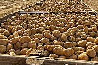 IMG_0119tt.jpg