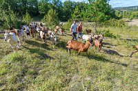 La-ferme-de-tendou---_XCD9911.JPG