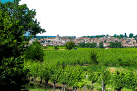 Vignoble_a_Mezin-OT_Albret-1150.png