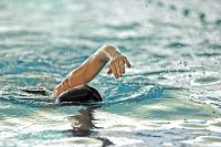 natation_01.jpg