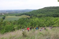 page-2--Castelmerle_ENS_Villeneuve_Hautefage_FdlN_2018-88.jpg