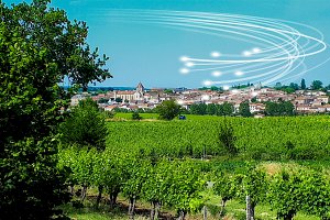 Vignoble_a_Mezin-fibre-Emag.jpg