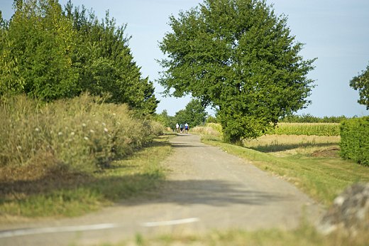 04---voie-verte_VSL-2.jpg