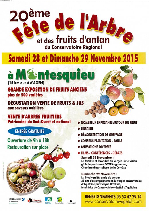 08-fete-de-larbre.jpg