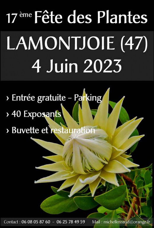 11.-feete-des-plantes.jpg