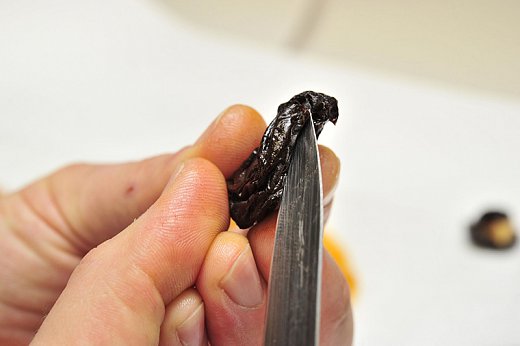 19---_XCG3304p.jpg