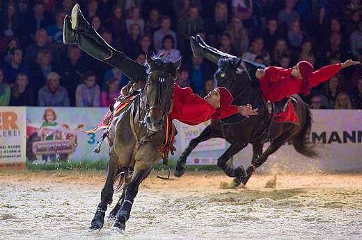 cheval-photo.jpg