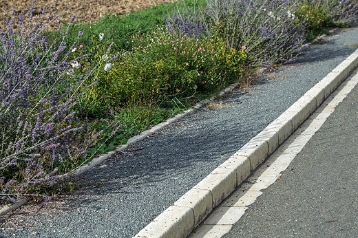 trottoir---Nomdieu_XCD5677-2.jpg