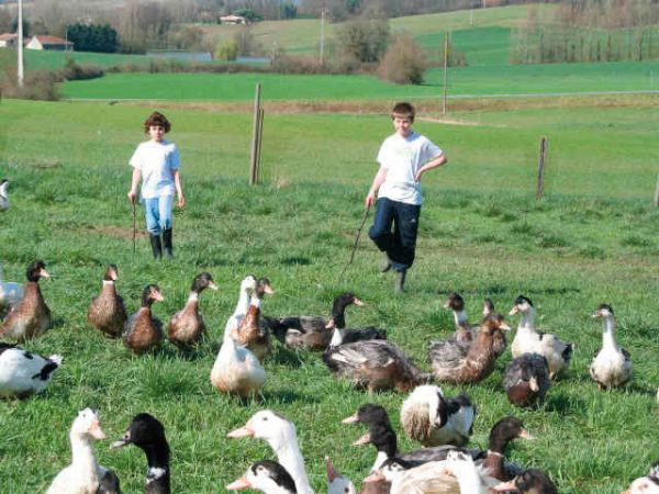 06---demaret-parc.png