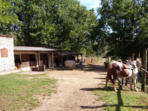 37---criniere-au-vent-20170916_112341.jpg