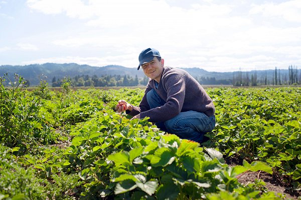 Accompagner-les-territoires-et-les-agriculteurs.jpeg