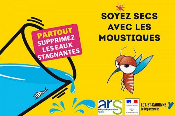 Actu_Moustique_tigre.jpg