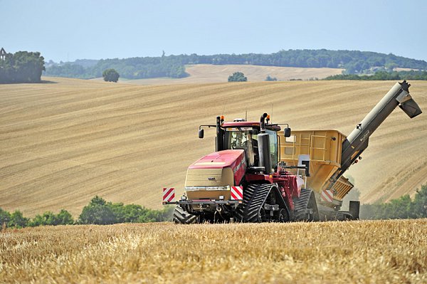 agri-_XCG0809.jpg