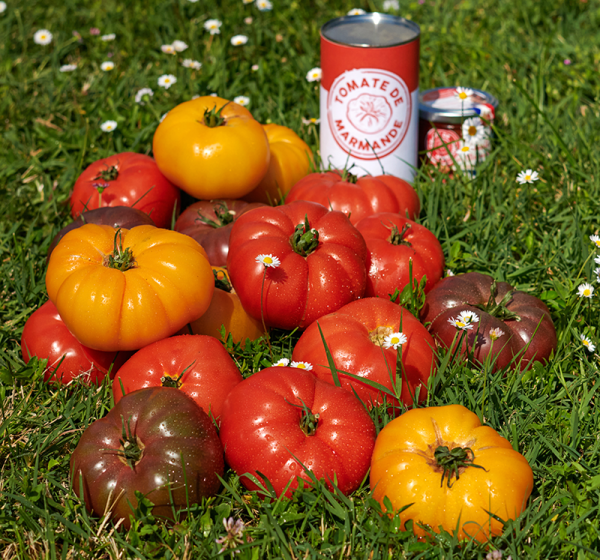 page-15---tomates_marmande-2.png