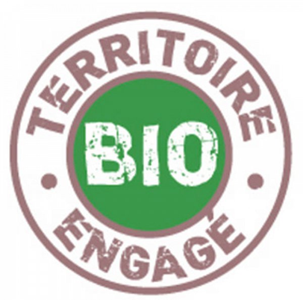 page-15-LogoBioEngageDef.jpg