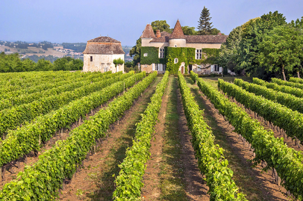 page-18----frandat-chateauvignes1.png