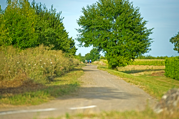 voie-verte_VSL-2.png